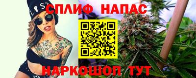 шишки Изобильный