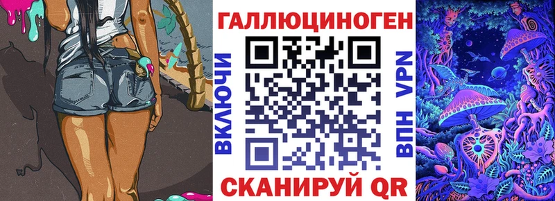 Галлюциногенные грибы Psilocybe  Котовск 
