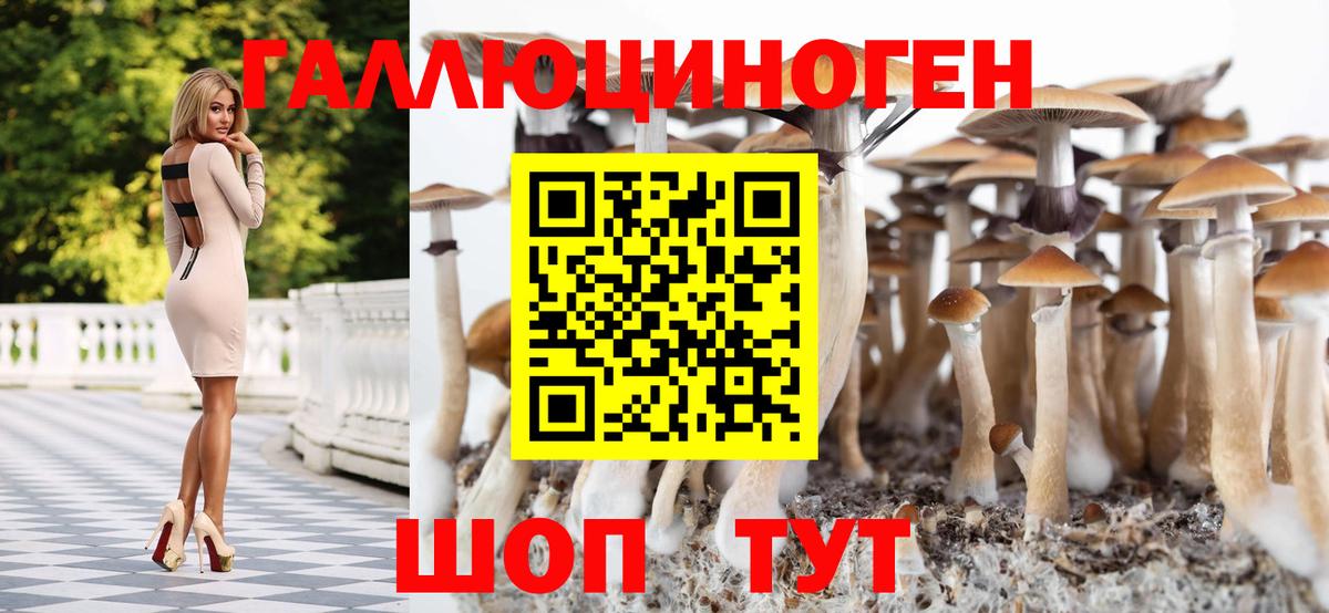 Галлюциногенные грибы мухоморы Котовск